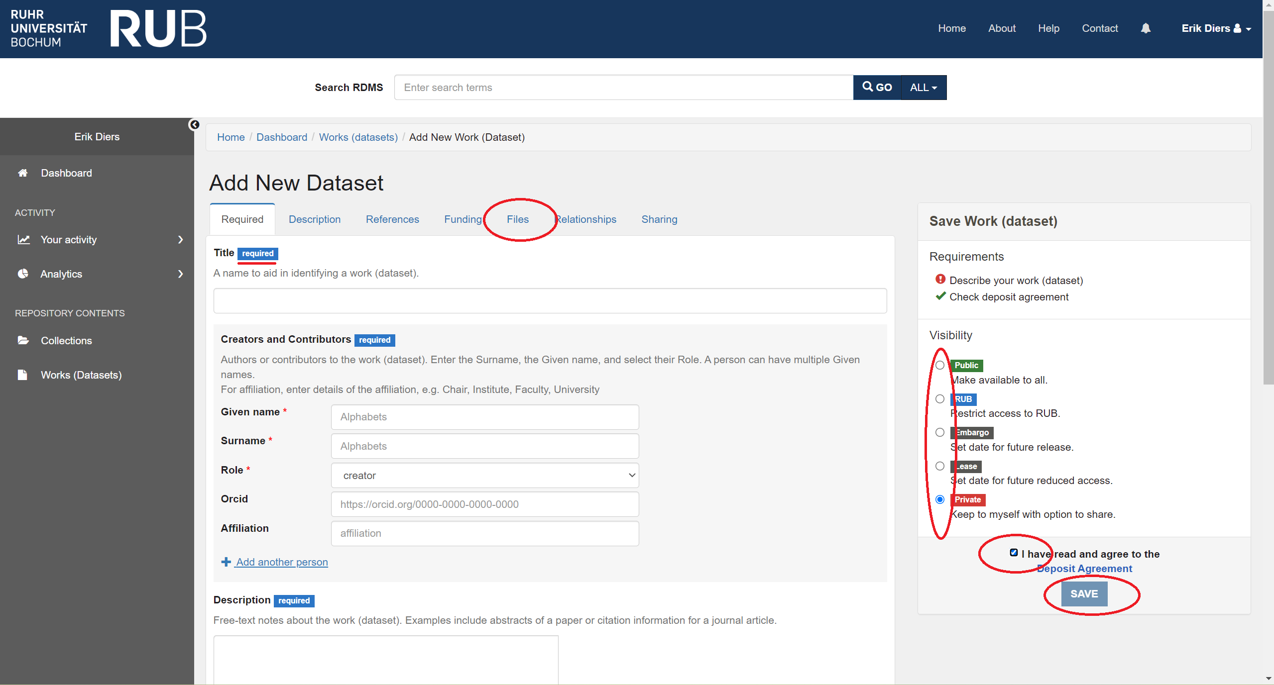 Describe your Work (Dataset)